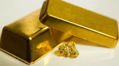 Man graaft een zwembad en vindt goud: hoe een schat van $800.000 jarenlang onder de grond verborgen lag