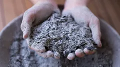 Houtas onder de sneeuw: 5 stappen om je bodem te verrijken voor optimale plantengroei in het voorjaar